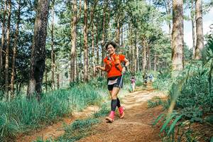 BIB: 
                            <button type="button" onclick="openModal(25756833)" class="btn btn-primary btn-sm float-right btn-popup" data-toggle="modal" data-target=".modal-high-quality">
                        <i class="fas fa-shopping-cart"></i> Add to Cart
                    </button>
                                            <button type="button" onclick="isThisMe(25756833, true)" class="btn btn-success btn-sm float-right btn-popup btn-isme hidden" data-toggle="tooltip" data-placement="bottom" title="นี่คือรูปของคุณใช่ไหม คลิกที่นี่เพื่อเอาเข้าอัลบั้ม">
                        <i class="fas fa-plus"></i> Add to album
                    </button>
                    <button type="button" onclick="isThisMe(25756833, false)" class="btn btn-warning btn-sm float-right btn-popup btn-isnotme hidden">
                        <i class="fas fa-ban"></i> Remove from album
                    </button>